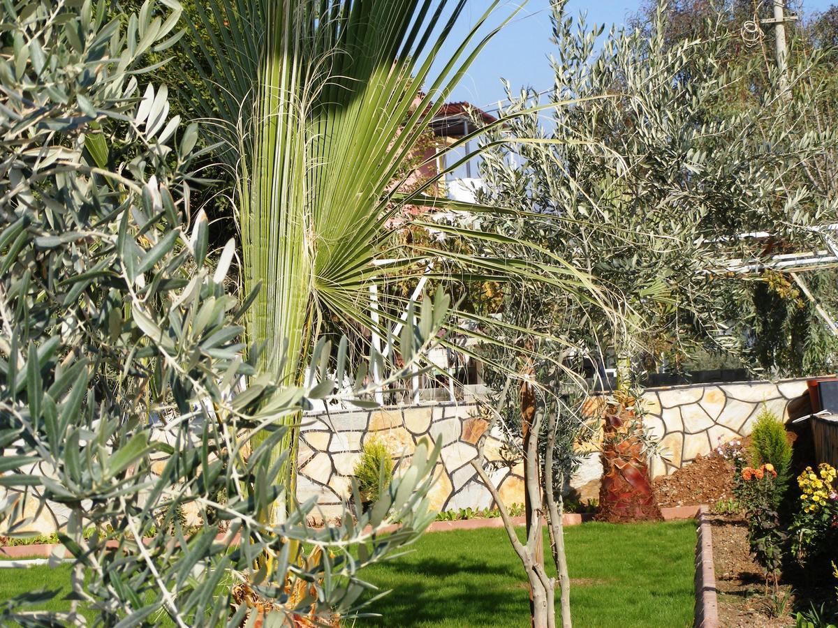 Haciely Thermal בית אירוח *