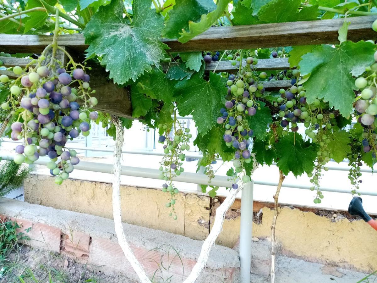 Gazde/Camere de închiriat Haciely Thermal Denizli (Denizli)